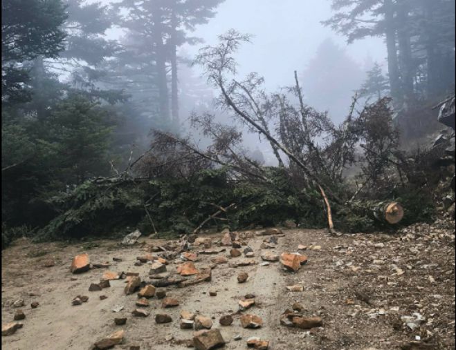 &Eta; &Pi;&rho;&omega;&tau;&omicron;&beta;&omicron;&upsilon;&lambda;ί&alpha; &gamma;&iota;&alpha; &tau;&eta;&nu; &Pi;&rho;&omicron;&sigma;&tau;&alpha;&sigma;ί&alpha; &tau;&omicron;&upsilon; &Kappa;&omicron;&sigma;&mu;ά &kappa;&alpha;&tau;&alpha;&gamma;&gamma;έ&lambda;&lambda;&epsilon;&iota; &alpha;&pi;&epsilon;&iota;&lambda;ή &alpha;&pi;ό &phi;ύ&lambda;&alpha;&kappa;&alpha;: &laquo;Έ&chi;&omega; &gamma;&upsilon;&rho;ί&sigma;&epsilon;&iota; &alpha;&pi;ό &kappa;&upsilon;&nu;ή&gamma;&iota;, έ&chi;&omega; &tau;&eta;&nu; &kappa;&alpha;&rho;&alpha;&mu;&pi;ί&nu;&alpha;, &theta;έ&lambda;&epsilon;&tau;&epsilon; &nu;&alpha; &sigma;&kappa;&omicron;&tau;&omega;&theta;&omicron;ύ&mu;&epsilon; &beta;&rho;&alpha;&delta;&iota;ά&tau;&iota;&kappa;&alpha;;&raquo;