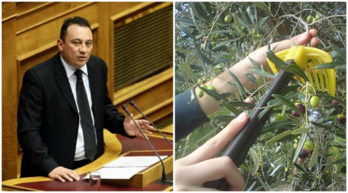 &Beta;&lambda;ά&sigma;&eta;&sigmaf;: &laquo;Ά&mu;&epsilon;&sigma;&omicron;&sigmaf; &omicron; &kappa;ί&nu;&delta;&upsilon;&nu;&omicron;&sigmaf; &gamma;&iota;&alpha; &tau;&eta;&nu; &epsilon;&pi;&iota;&beta;ί&omega;&sigma;&eta; &tau;&omega;&nu; &epsilon;&lambda;&alpha;&iota;&omicron;&pi;&alpha;&rho;&alpha;&gamma;&omega;&gamma;ώ&nu; &tau;&eta;&sigmaf; &Alpha;&rho;&kappa;&alpha;&delta;ί&alpha;&sigmaf;!&raquo;