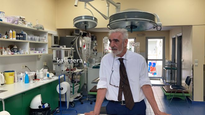 &Kappa;&omicron;&upsilon;&mu;&alpha;&rho;έ&lambda;&alpha;&sigmaf;: "&Sigma;&upsilon;&gamma;&kappa;&rho;&omicron;ύ&omicron;&nu;&tau;&alpha;&iota; &kappa;&upsilon;&nu;&eta;&gamma;&omicron;ί &kappa;&alpha;&iota; &phi;&iota;&lambda;ό&zeta;&omega;&omicron;&iota;, &epsilon;&pi;&epsilon;&iota;&delta;ή έ&chi;&omicron;&upsilon;&mu;&epsilon; &mu;ί&alpha; &alpha;&delta;έ&sigma;&pi;&omicron;&tau;&eta; &pi;&omicron;&lambda;&iota;&tau;&iota;&kappa;ά &Pi;&epsilon;&rho;&iota;&phi;έ&rho;&epsilon;&iota;&alpha; &kappa;&alpha;&iota; &mu;ί&alpha; &alpha;&delta;έ&sigma;&pi;&omicron;&tau;&eta; &pi;&omicron;&lambda;&iota;&tau;&epsilon;ί&alpha;" (vd)