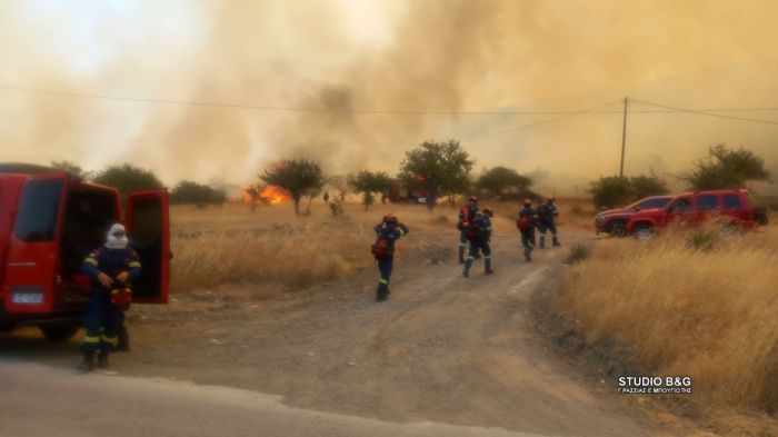 &Mu;&epsilon;&gamma;ά&lambda;&eta; &phi;&omega;&tau;&iota;ά &sigma;&tau;&omicron; &Alpha;&delta;ά&mu;&iota; &tau;&omicron;&upsilon; &Delta;ή&mu;&omicron;&upsilon; &Epsilon;&pi;&iota;&delta;&alpha;ύ&rho;&omicron;&upsilon; | &Kappa;&alpha;&iota; &alpha;&epsilon;&rho;&omicron;&sigma;&kappa;ά&phi;&eta; &sigma;&tau;&eta;&nu; &kappa;&alpha;&tau;ά&sigma;&beta;&epsilon;&sigma;&eta;
