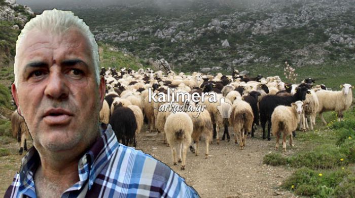 Δεν πουλιέται κρέας και γάλα στην Αρκαδία λόγω καταρροϊκού – Χωρίς ευρώ στην τσέπη πολλοί κτηνοτρόφοι (vd)