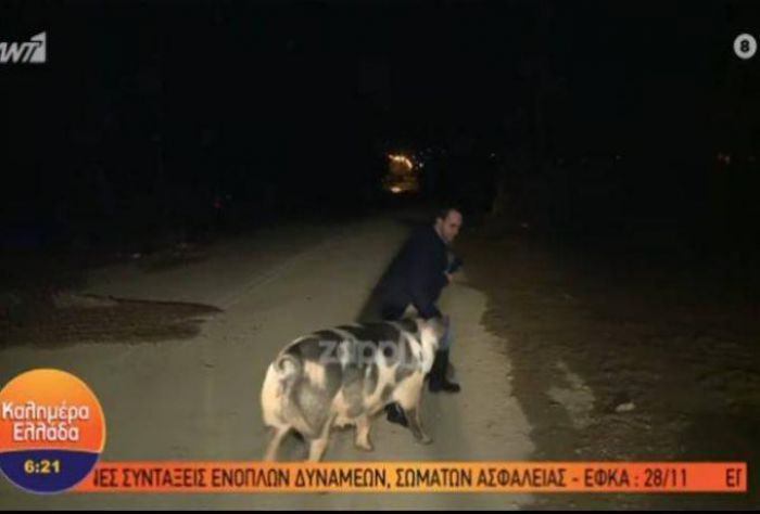 &Mu;&upsilon;&theta;&iota;&kappa;ό | &Gamma;&omicron;&upsilon;&rho;&omicron;ύ&nu;&iota; &kappa;&upsilon;&nu;&eta;&gamma;ά&epsilon;&iota; &kappa;&alpha;&iota; &delta;&alpha;&gamma;&kappa;ώ&nu;&epsilon;&iota; on air &rho;&epsilon;&pi;ό&rho;&tau;&epsilon;&rho; &tau;&omicron;&upsilon; &Pi;&alpha;&pi;&alpha;&delta;ά&kappa;&eta;! (vd)