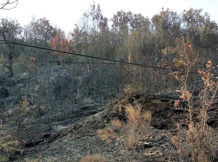 Βλαχέρνα | Συγκέντρωση ζωοτροφών για τους πυρόπληκτους κτηνοτρόφους της Γορτυνίας