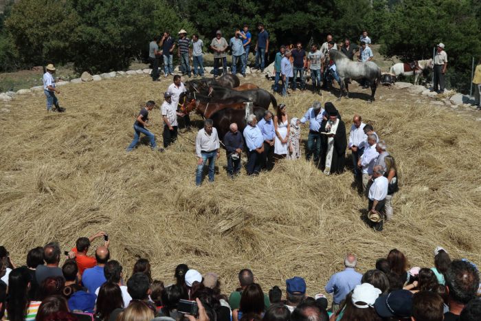 Παραδοσιακό αλώνισμα και γλέντι με δημοτικά τραγούδια στο Βαλτεσινίκο (vd)!