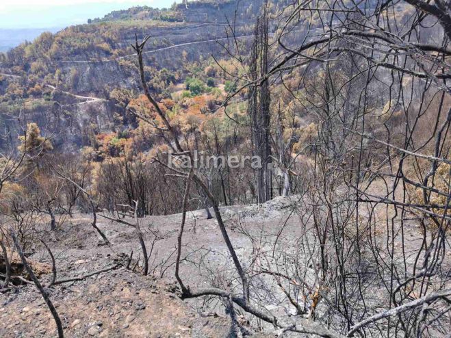 Τηλεδιάσκεψη στην Περιφέρεια για την πρώτη αποτίμηση των ζημιών στην Αρκαδία