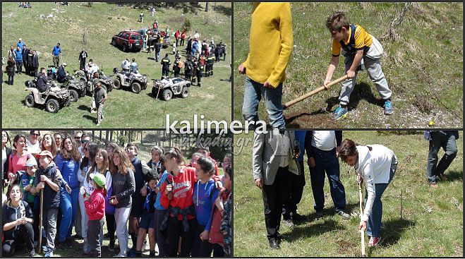 &Epsilon;&theta;&epsilon;&lambda;&omicron;&nu;&tau;&iota;&kappa;ή &delta;&epsilon;&nu;&delta;&rho;&omicron;&phi;ύ&tau;&epsilon;&upsilon;&sigma;&eta; &gamma;&iota;&alpha; &nu;&alpha; &gamma;ί&nu;&epsilon;&iota; &xi;&alpha;&nu;ά &pi;&rho;ά&sigma;&iota;&nu;&omicron; &tau;&omicron; &Mu;&alpha;ί&nu;&alpha;&lambda;&omicron; (&epsilon;&iota;&kappa;ό&nu;&epsilon;&sigmaf; &ndash; &beta;ί&nu;&tau;&epsilon;&omicron;)!