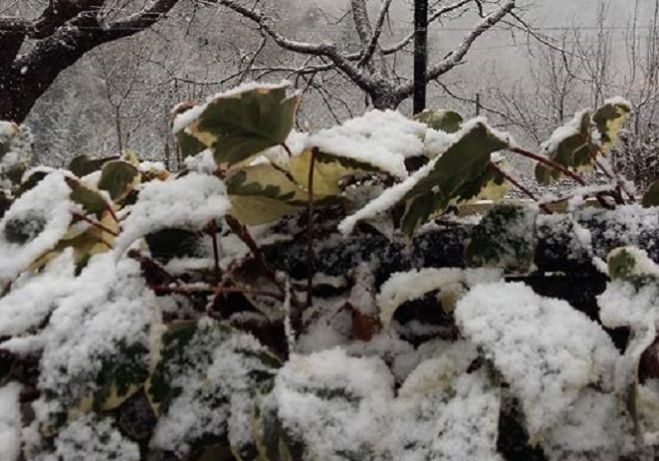 &Sigma;&tau;&alpha; ... &lambda;&epsilon;&upsilon;&kappa;ά &nu;&tau;ύ&theta;&eta;&kappa;&alpha;&nu; &kappa;&alpha;&iota; &tau;&alpha; &Beta;&omicron;ύ&rho;&beta;&omicron;&upsilon;&rho;&alpha;! (&epsilon;&iota;&kappa;ό&nu;&epsilon;&sigmaf;)