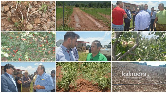 Εικόνες απόλυτης καταστροφής σε χωριά της Σκιρίτιδας – Το χαλάζι &quot;τσάκισε&quot; τις καλλιέργειες (vd)