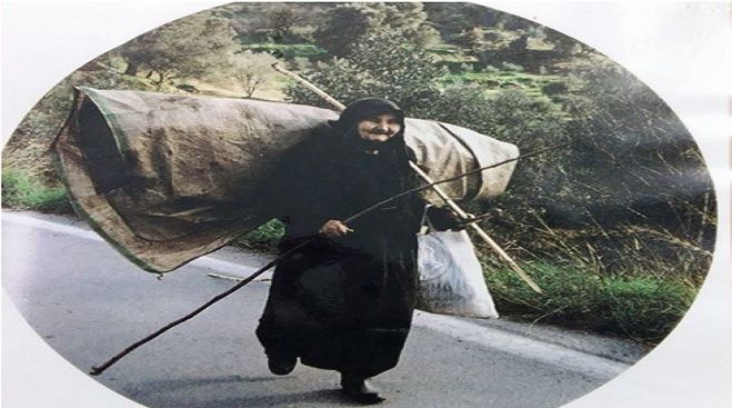 Το ελαιομάζωμα τελείωσε στο Ελαιοχώρι!