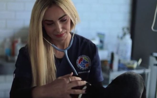 Κατοικία και κορωνοϊός | Οδηγίες από την Εθελοντική Δράση Κτηνιάτρων (vd)