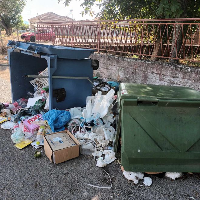 Δημητρακόπουλος (Πρόεδρος Αλέας): "Κακό χωριό τα λίγα σπίτια" - Επίθεση στο σύλλογο του χωριού και η παροιμία με τον ... λαγό!