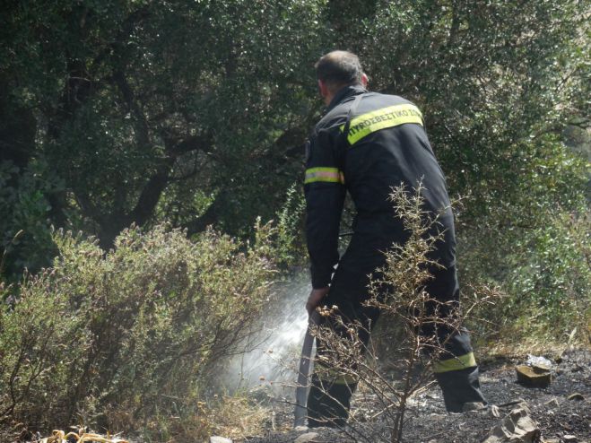 &Tau;&epsilon;&gamma;έ&alpha; | &Sigma;ύ&lambda;&lambda;&eta;&psi;&eta; &gamma;&iota;&alpha; &epsilon;&mu;&pi;&rho;&eta;&sigma;&mu;ό &alpha;&pi;ό &alpha;&mu;έ&lambda;&epsilon;&iota;&alpha; &alpha;&nu;&alpha;&kappa;&omicron;ί&nu;&omega;&sigma;&epsilon; &eta; &Pi;&upsilon;&rho;&omicron;&sigma;&beta;&epsilon;&sigma;&tau;&iota;&kappa;ή
