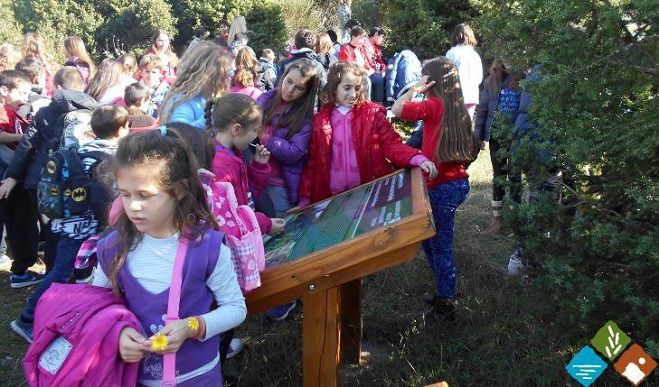 Παιδιά από το Δημοτικό Σχολείο Βερβένων στο Δάσος της Μαλεβής για την Παγκόσμια Ημέρα Βουνού (εικόνες)