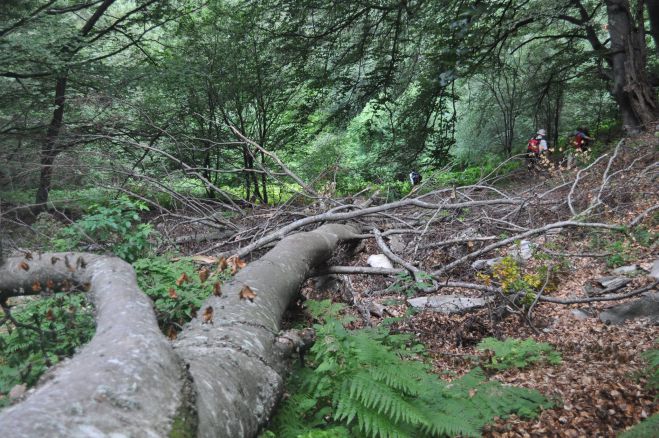 Στα περιαστικά άλση της Τρίπολης θα περπατήσει ο ΣΑΟΟ