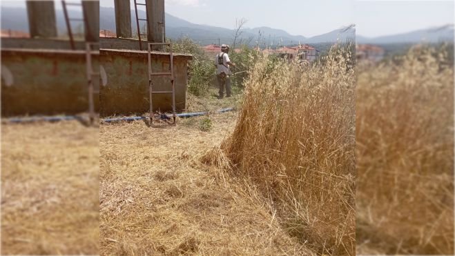 Εργασίες καθαρισμού στο χωριό Πυρί Γορτυνίας (εικόνες)