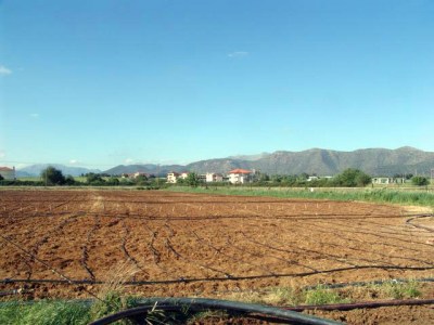 &Tau;&eta;&nu; &Tau;&epsilon;&tau;ά&rho;&tau;&eta; &eta; &kappa;&lambda;ή&rho;&omega;&sigma;&eta; &gamma;&iota;&alpha; &tau;&omicron; &delta;&eta;&mu;&omicron;&tau;&iota;&kappa;ό &lambda;&alpha;&chi;&alpha;&nu;ό&kappa;&eta;&pi;&omicron;