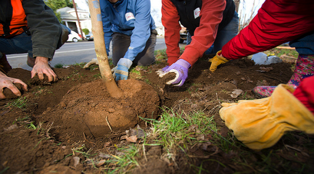 &Delta;&epsilon;&nu;&delta;&rho;&omicron;&phi;&upsilon;&tau;&epsilon;ύ&sigma;&epsilon;&iota;&sigmaf; &theta;&alpha; &gamma;ί&nu;&omicron;&upsilon;&nu; &sigma;&epsilon; &kappa;&alpha;&mu;έ&nu;&epsilon;&sigmaf; &pi;&epsilon;&rho;&iota;&omicron;&chi;έ&sigmaf; &tau;&omicron;&upsilon; &Delta;ή&mu;&omicron;&upsilon; &Tau;&rho;ί&pi;&omicron;&lambda;&eta;&sigmaf;!