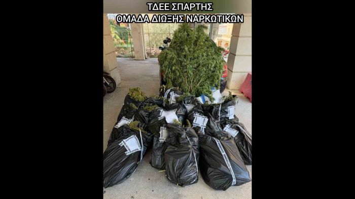 &Pi;ά&nu;&omega; &alpha;&pi;ό 81(!) &kappa;&iota;&lambda;ά &kappa;ά&nu;&nu;&alpha;&beta;&eta;&sigmaf; &kappa;&alpha;&tau;&alpha;&sigma;&chi;έ&theta;&eta;&kappa;&alpha;&nu; &alpha;&pi;ό &tau;&eta;&nu; &Alpha;&sigma;&tau;&upsilon;&nu;&omicron;&mu;ί&alpha; &sigma;&tau;&eta; &Lambda;&alpha;&kappa;&omega;&nu;ί&alpha;