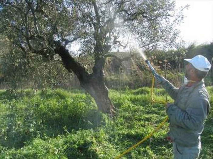 &Sigma;&upsilon;&nu;&epsilon;&chi;ί&zeta;&omicron;&nu;&tau;&alpha;&iota; &omicron;&iota; &delta;&omicron;&lambda;&omega;&mu;&alpha;&tau;&iota;&kappa;&omicron;ί &psi;&epsilon;&kappa;&alpha;&sigma;&mu;&omicron;ί &gamma;&iota;&alpha; &tau;&omicron; &pi;&rho;ό&gamma;&rho;&alpha;&mu;&mu;&alpha; &delta;&alpha;&kappa;&omicron;&kappa;&tau;&omicron;&nu;ί&alpha;&sigmaf; |&Delta;&epsilon;ί&tau;&epsilon; &tau;&omicron; &pi;&rho;ό&gamma;&rho;&alpha;&mu;&mu;&alpha;