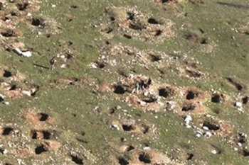 &Lambda;&alpha;&theta;&rho;&alpha;&nu;&alpha;&sigma;&kappa;&alpha;&phi;ή &sigma;&tau;&omicron; &Delta;ή&mu;&omicron; &Mu;&epsilon;&gamma;&alpha;&lambda;ό&pi;&omicron;&lambda;&eta;&sigmaf;