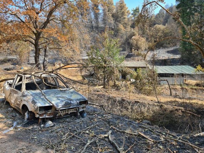 Παπαηλιού: &quot;Η δημιουργία οικονομικής βάσης για την επιβίωση των ανθρώπων στις πληγείσες περιοχές, συνιστά προτεραιότητα&quot;