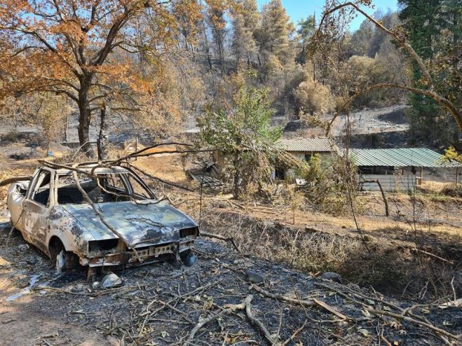 Παπαηλιού: &quot;Η δημιουργία οικονομικής βάσης για την επιβίωση των ανθρώπων στις πληγείσες περιοχές, συνιστά προτεραιότητα&quot;