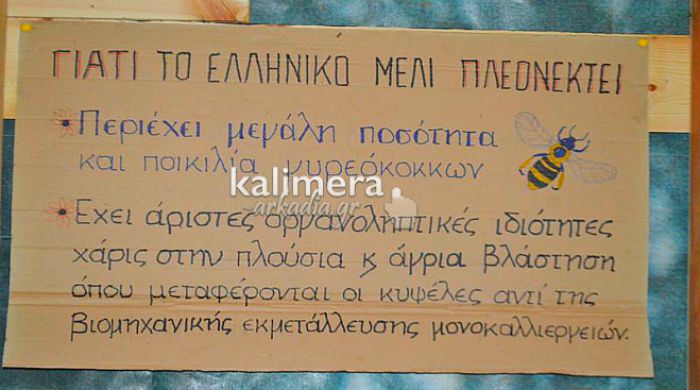 Άλλη μία χρονιά που δεν «βγήκε» μέλι «Βανίλια Ελάτης» στην Αρκαδία (vd)