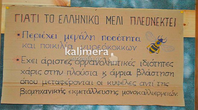 Άλλη μία χρονιά που δεν «βγήκε» μέλι «Βανίλια Ελάτης» στην Αρκαδία (vd)