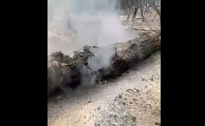 Αυτή είναι η σημερινή εικόνα στο δάσος της Κάπελης - Δείτε βίντεο