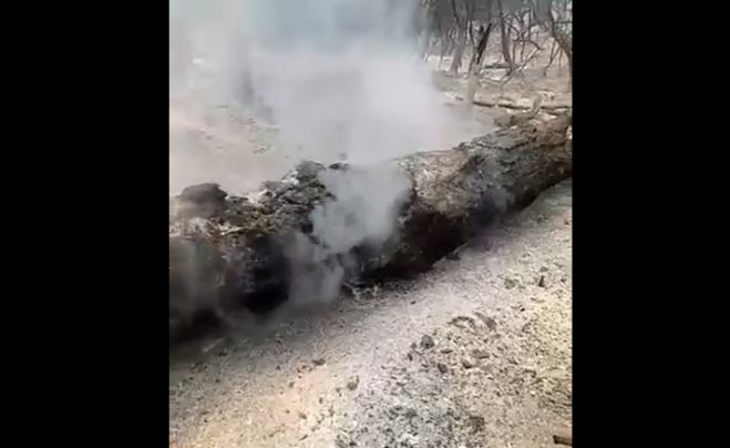 Αυτή είναι η σημερινή εικόνα στο δάσος της Κάπελης - Δείτε βίντεο