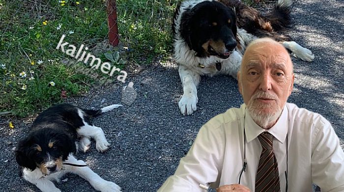 «Φόλες» | Οι οδηγίες του Γιάννη Κουμαρέλα για πρώτες βοήθειες σε δηλητηριασμένα σκυλιά (vd)