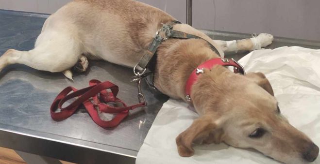 &Kappa;&alpha;&tau;&alpha;&gamma;&gamma;&epsilon;&lambda;ί&alpha; &gamma;&iota;&alpha; &phi;ό&lambda;&epsilon;&sigmaf; &kappa;&omicron;&nu;&tau;ά &sigma;&tau;&omicron; 1&omicron; &Gamma;&upsilon;&mu;&nu;ά&sigma;&iota;&omicron; &Tau;&rho;ί&pi;&omicron;&lambda;&eta;&sigmaf;