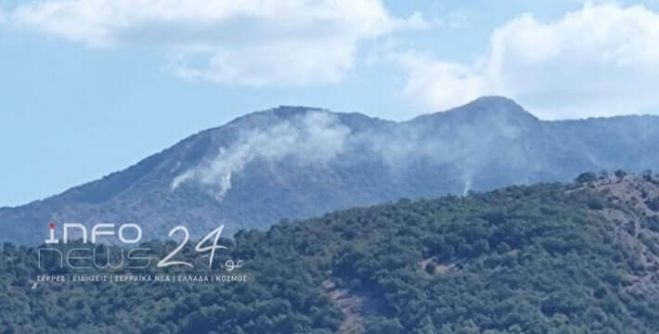 &Phi;&omega;&tau;&iota;ά &kappa;&alpha;ί&epsilon;&iota; &epsilon;&pi;ί 28 &eta;&mu;έ&rho;&epsilon;&sigmaf; &sigma;&tau;&omicron; Ό&rho;&beta;&eta;&lambda;&omicron;&sigmaf; &tau;&omega;&nu; &Sigma;&epsilon;&rho;&rho;ώ&nu;!