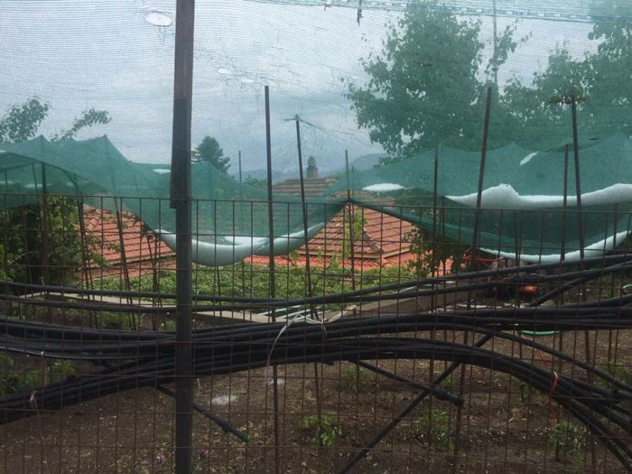 &Chi;&alpha;&lambda;ά&zeta;&iota; &kappa;&alpha;&iota; &sigma;&tau;&omicron; &Kappa;&alpha;&sigma;&tau;&rho;ί (&epsilon;&iota;&kappa;ό&nu;&epsilon;&sigmaf;)