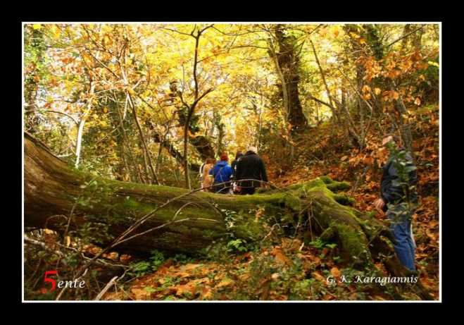 &Delta;&omega;&rho;&epsilon;ά&nu; &xi;&epsilon;&nu;ά&gamma;&eta;&sigma;&eta; &sigma;&tau;&alpha; Ά&nu;&omega; &Delta;&omicron;&lambda;&iota;&alpha;&nu;ά