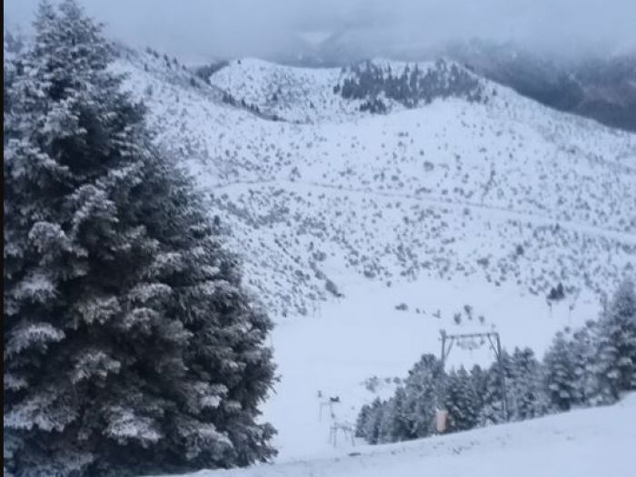 &Phi;&rho;έ&sigma;&kappa;&omicron; &chi;&iota;ό&nu;&iota; &sigma;&tau;&omicron; &Chi;&iota;&omicron;&nu;&omicron;&delta;&rho;&omicron;&mu;&iota;&kappa;ό &Kappa;έ&nu;&tau;&rho;&omicron; &Mu;&alpha;&iota;&nu;ά&lambda;&omicron;&upsilon; (&epsilon;&iota;&kappa;ό&nu;&epsilon;&sigmaf;)