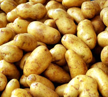 Ομαδική παραγγελία πατάτας Τριπόλεως οργανώνεται στη Λακωνία!