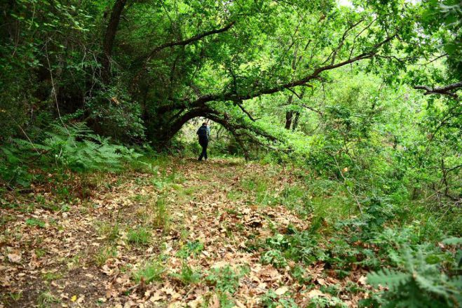 Αναβλήθηκε η εξόρμηση του ΣΑΟΟ στο μονοπάτι Βελανιδιάς