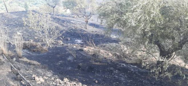 &Mu;&epsilon;&sigma;&sigma;&eta;&nu;ί&alpha; | &Pi;&upsilon;&rho;&kappa;&alpha;&gamma;&iota;ά &sigma;&tau;&eta;&nu; &Kappa;ά&tau;&omega; &Mu;έ&lambda;&pi;&epsilon;&iota;&alpha; - &Sigma;&kappa;έ&psi;&epsilon;&iota;&sigmaf; &gamma;&iota;&alpha; &epsilon;&kappa;&kappa;έ&nu;&omega;&sigma;&eta; &omicron;&iota;&kappa;&iota;&sigma;&mu;ώ&nu;