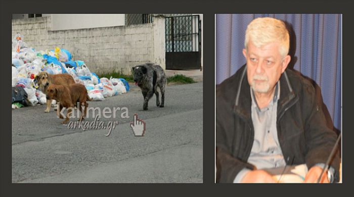 &Delta;ή&mu;&alpha;&rho;&chi;&omicron;&sigmaf;: &laquo;15-20 &epsilon;&pi;&iota;&theta;έ&sigma;&epsilon;&iota;&sigmaf; &alpha;&pi;ό &alpha;&delta;έ&sigma;&pi;&omicron;&tau;&alpha; &kappa;ά&theta;&epsilon; &epsilon;&beta;&delta;&omicron;&mu;ά&delta;&alpha; &ndash; &Epsilon;&pi;&iota;&tau;έ&theta;&eta;&kappa;&alpha;&nu; &kappa;&alpha;&iota; &sigma;&tau;&eta; &gamma;&upsilon;&nu;&alpha;ί&kappa;&alpha; &mu;&omicron;&upsilon;&raquo;! (vd)