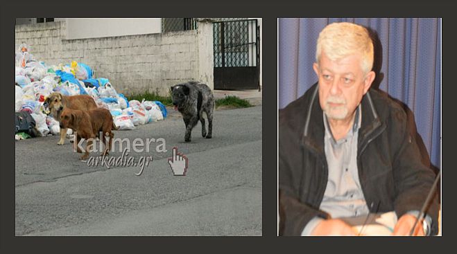&Delta;ή&mu;&alpha;&rho;&chi;&omicron;&sigmaf;: &laquo;15-20 &epsilon;&pi;&iota;&theta;έ&sigma;&epsilon;&iota;&sigmaf; &alpha;&pi;ό &alpha;&delta;έ&sigma;&pi;&omicron;&tau;&alpha; &kappa;ά&theta;&epsilon; &epsilon;&beta;&delta;&omicron;&mu;ά&delta;&alpha; &ndash; &Epsilon;&pi;&iota;&tau;έ&theta;&eta;&kappa;&alpha;&nu; &kappa;&alpha;&iota; &sigma;&tau;&eta; &gamma;&upsilon;&nu;&alpha;ί&kappa;&alpha; &mu;&omicron;&upsilon;&raquo;! (vd)