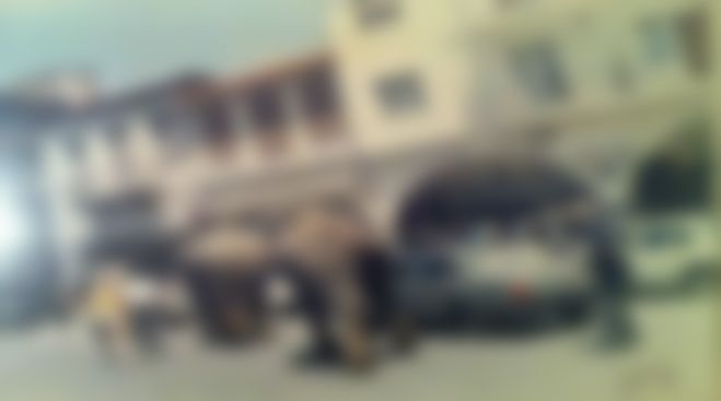 Ελέφαντες … κάνουν βόλτα στην κεντρική πλατεία της Τρίπολης! (εικόνα)
