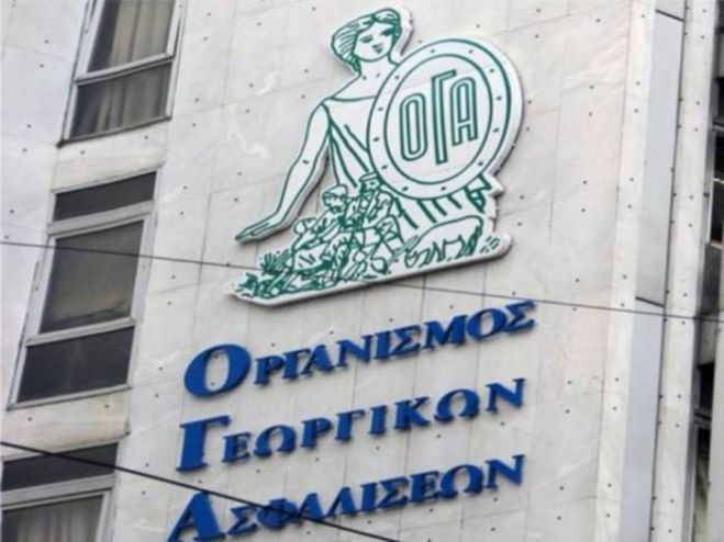 &Omicron;&Gamma;&Alpha; &ndash; &Tau;&rho;ί&pi;&omicron;&lambda;&eta;| &Epsilon;&xi;&upsilon;&pi;&eta;&rho;έ&tau;&eta;&sigma;&eta; &kappa;&omicron;&iota;&nu;&omicron;ύ &gamma;&iota;&alpha; &omicron;&iota;&kappa;&omicron;&gamma;&epsilon;&nu;&epsilon;&iota;&alpha;&kappa;ά &epsilon;&pi;&iota;&delta;ό&mu;&alpha;&tau;&alpha; &kappa;&alpha;&iota; &alpha;&nu;&alpha;&sigma;&phi;ά&lambda;&iota;&sigma;&tau;&omicron;&upsilon;&sigmaf; &upsilon;&pi;&epsilon;&rho;ή&lambda;&iota;&kappa;&epsilon;&sigmaf;