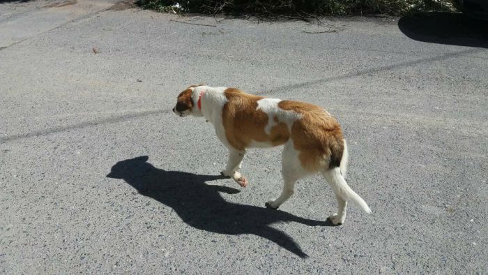 &Alpha;&nu;&alpha;&zeta;&eta;&tau;ά &kappa;&alpha;&nu;&epsilon;ί&sigmaf; &alpha;&upsilon;&tau;ό &tau;&omicron; &sigma;&kappa;&upsilon;&lambda;ί;