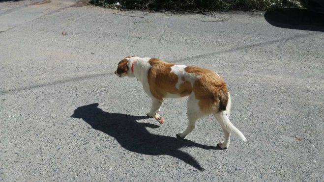 &Alpha;&nu;&alpha;&zeta;&eta;&tau;ά &kappa;&alpha;&nu;&epsilon;ί&sigmaf; &alpha;&upsilon;&tau;ό &tau;&omicron; &sigma;&kappa;&upsilon;&lambda;ί;