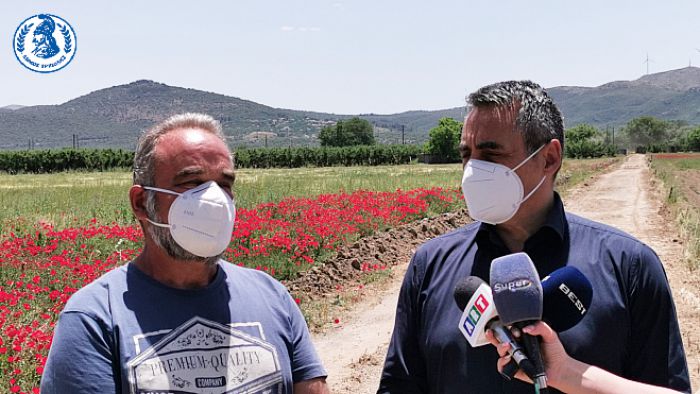 &Alpha;&nu;&tau;ώ&nu;&eta;&sigmaf; &Mu;&pi;&iota;&lambda;ί&delta;&alpha;&sigmaf; (&Pi;&rho;ό&epsilon;&delta;&rho;&omicron;&sigmaf; &Beta;&omicron;&upsilon;&nu;&omicron;ύ &Tau;&epsilon;&gamma;έ&alpha;&sigmaf;): &laquo;&Epsilon;ί&chi;&alpha;&mu;&epsilon; &nu;&alpha; &delta;&omicron;ύ&mu;&epsilon; &mu;&eta;&chi;&alpha;&nu;ή&mu;&alpha;&tau;&alpha; &sigma;&tau;&omicron;&nu; &kappa;ά&mu;&pi;&omicron; &epsilon;&delta;ώ &kappa;&alpha;&iota; 20 &chi;&rho;ό&nu;&iota;&alpha;&raquo; (vd)