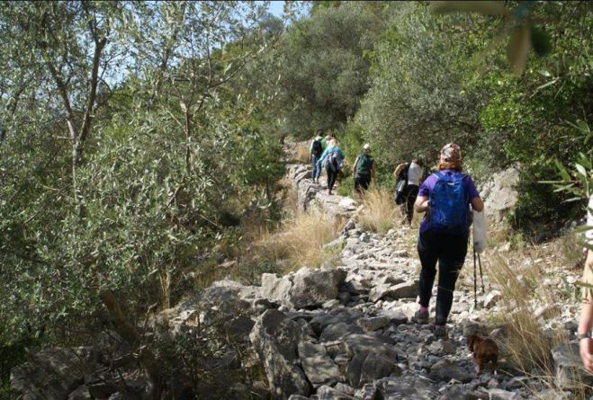 Στον καλοκαιρινό Πάρνωνα εξορμά ο ΣΑΟΟ