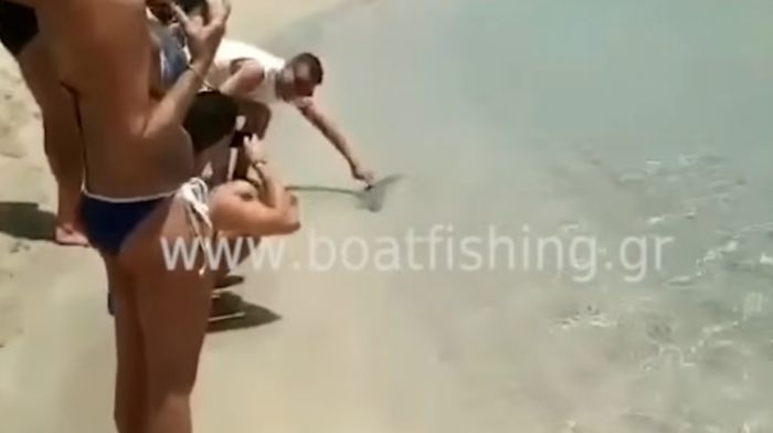 &Eta; &sigma;&tau;&iota;&gamma;&mu;ή &pi;&omicron;&upsilon; &lambda;&alpha;&gamma;&omicron;&kappa;έ&phi;&alpha;&lambda;&omicron;&sigmaf; &delta;&alpha;&gamma;&kappa;ώ&nu;&epsilon;&iota; &lambda;&omicron;&upsilon;ό&mu;&epsilon;&nu;&omicron; (vd)