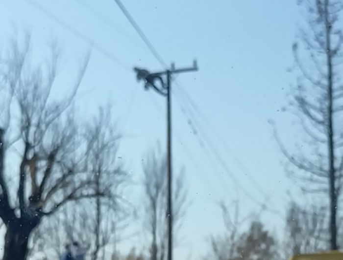 Επιτέλους | Νερό και ρεύμα στον οικισμό Τρανή Λάκκα Γορτυνίας!