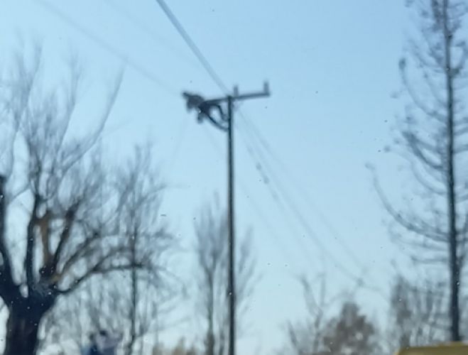 Επιτέλους | Νερό και ρεύμα στον οικισμό Τρανή Λάκκα Γορτυνίας!